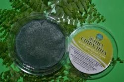 Живая спирулина Algaelife